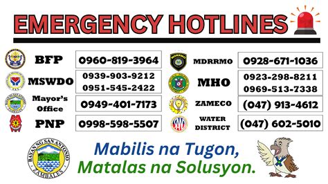 bfp las pinas contact number|Directory .